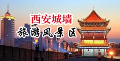 美女骚逼被操出水中国陕西-西安城墙旅游风景区