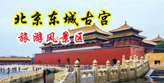搡多毛BBBBWW中国北京-东城古宫旅游风景区